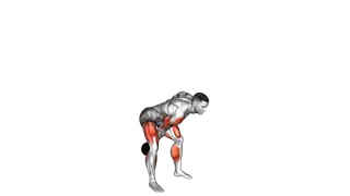 Kettlebell Snatch and Swing exercise