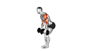 Dumbbell Bent Over Reverse Fly to Hammer Curl exercise
