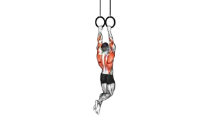 Ring Archer Pull up exercise