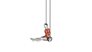 Ring Handstand to L Sit exercise