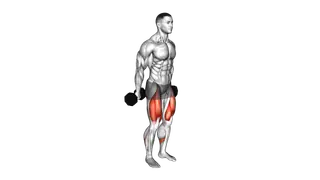 Dumbbell Hack Squat exercise