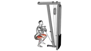 Cable Front Squat with V bar exercise