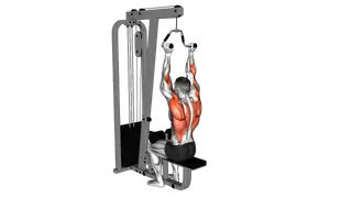 Cable Neutral Grip Lat Pulldown exercise