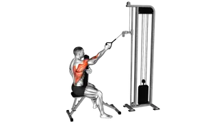 Cable Single Arm High Row with Chest Support