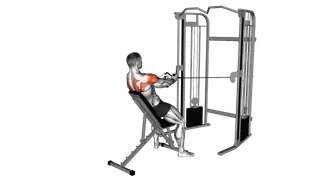 Cable Incline Rear Delt Fly with Back Support