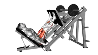 Sled Glute Dominant Leg Press exercise