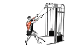 Cable High Row with Chest Support