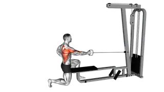 Cable Half Kneeling Single Arm Row exercise