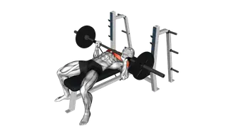 Barbell Banded Bench Press exercise