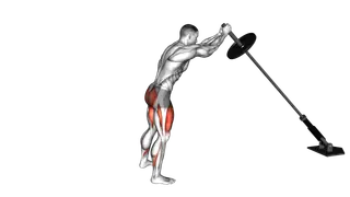Landmine Squat