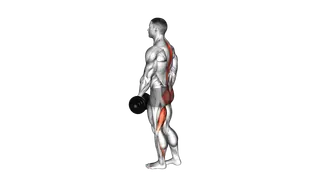 Dumbbell Ipsilateral Single Leg Stiff Leg Deadlift exercise