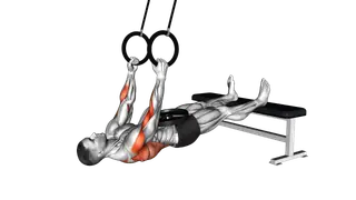 Ring Weighted Neutral Grip Inverted Row exercise