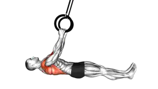 Ring Inverted Row parallel to the floor exercise