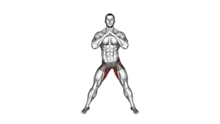 Adductors Stretch Coronal Plane exercise