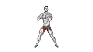 Adductors Stretch Transverse Plane exercise