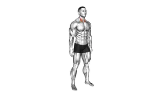 Backward Neck Stretch exercise