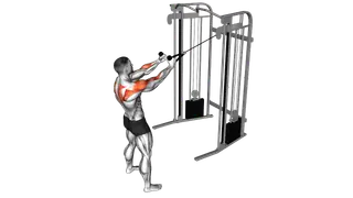 Cable Standing Supinated Face Pull (with rope) exercise
