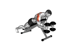 Dumbbell Prone W Raise