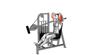 Lever Overhead Triceps Extension exercise