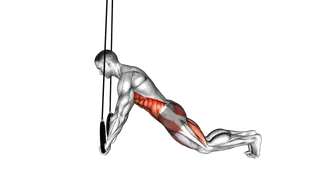 Ring Plank