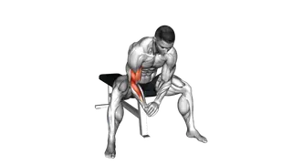 Bodyweight Seated Single Arm Concentration Curl exercise