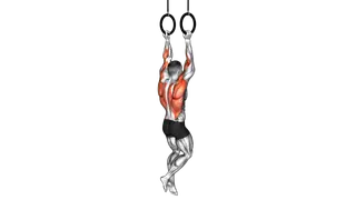 Ring Neutral Grip Chin Up exercise