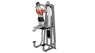 Lever Assisted Neutral Grip Chin Up exercise