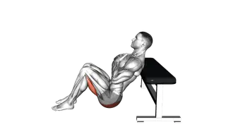 Glute Bridge from Bench