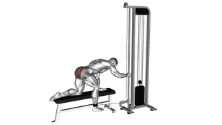 Cable Kneeling Glute Kickback