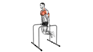 Triceps Dip on High Parallel Bars