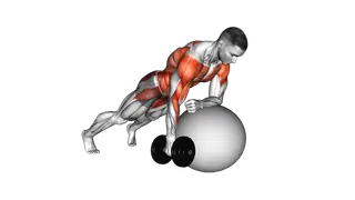 Dumbbell Renegade Row on Stability Ball