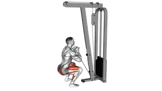 Cable Goblet Squat