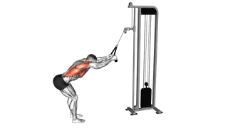 Cable Straight Arm Pulldown (with rope attachment) exercise