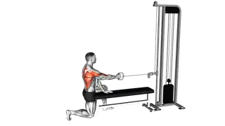 Cable Half Kneeling Single Arm Row (ma exercise