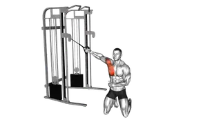 Cable Kneeling Single Arm Fly