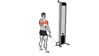 Cable Standing Y raises (with rope attachment) (ma