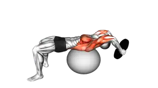 Weighted Plate Pullover on Stability Ball exercise