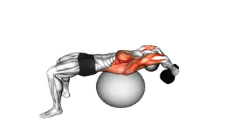 Kettlebell Pullover on Stability Ball exercise
