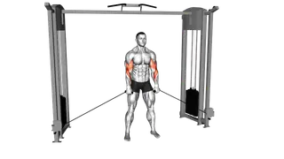 Cable Cross Body Hammer Curl