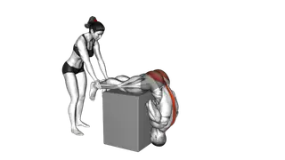 Assisted Hyperextension exercise