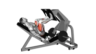Lever Angled Leg Press exercise