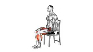 Seated Heel Slide on a Chair exercise