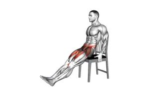 Seated Extended Leg Raise on a Chair exercise