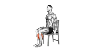 Seated Calf Raise on a Chair exercise