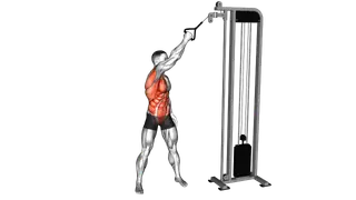Cable Single Arm High to Low Woodchopper
