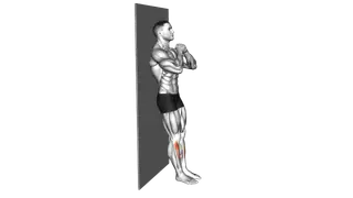 Bodyweight Tibialias Raise Wall Supported