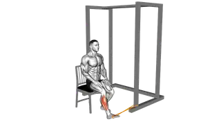 Resistance Band Seated Eversion Foot exercise
