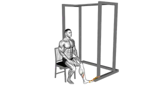 Resistance Band Seated Inversion Foot exercise