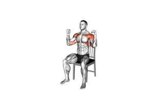 Seated Shoulder Press on a Chair