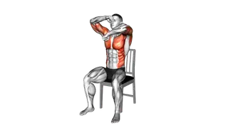 Seated Rotating Boxing Rolls on a Chair